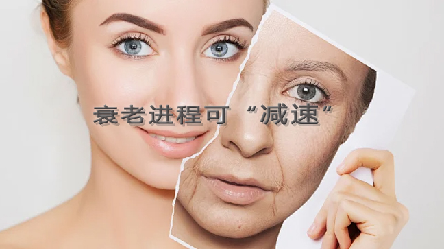 1765438842789757.jpg 44033d4ab445b41530caf13a8ae673ba.jpg