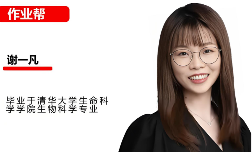 1760686994587208.png 谢一凡2026-1024x663 (1).png