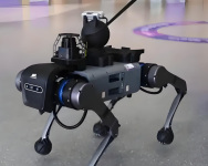 dmq.jpg