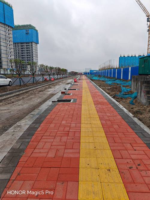 ԰һʲô_õשʲôש_͸ˮשĳнӦǰ beyondͥԺеǱ