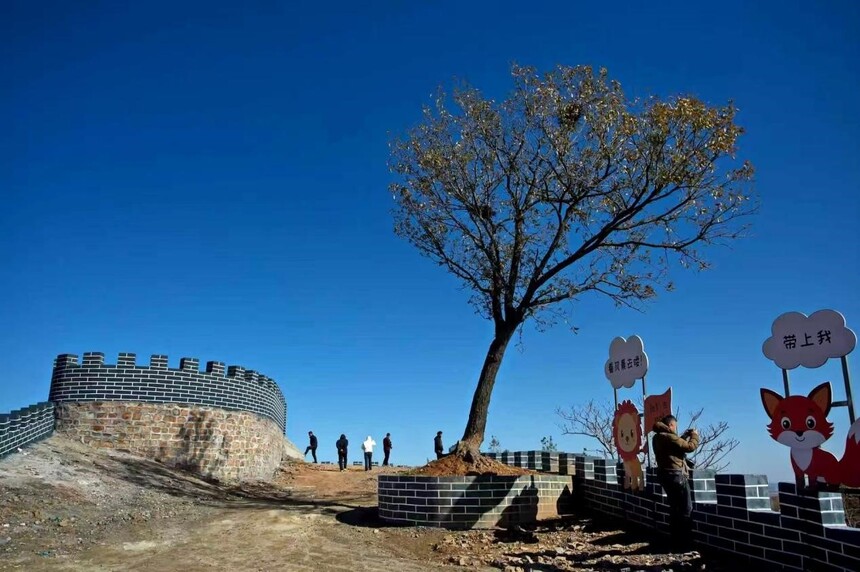 1763624259216838.jpg 114.jpg