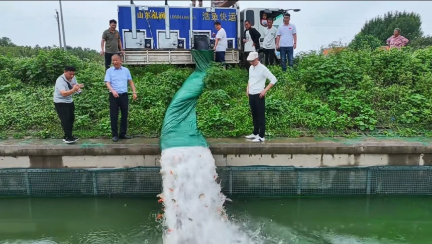 1765448559827586.png 图片3.png