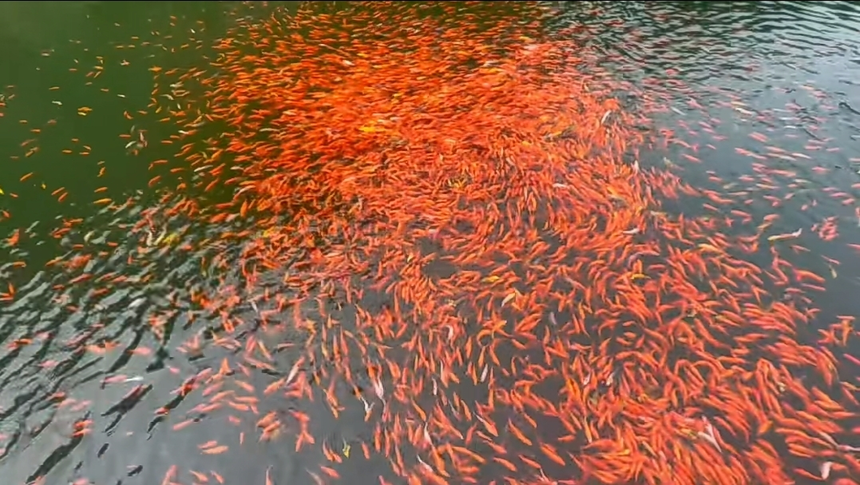 1765448576524062.png 图片4.png