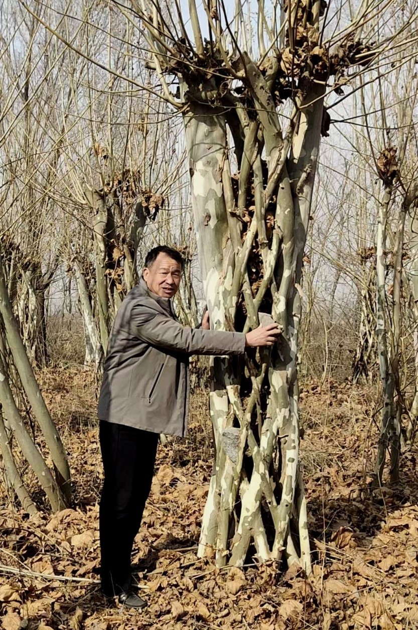 1765697732633966.jpg 44.jpg