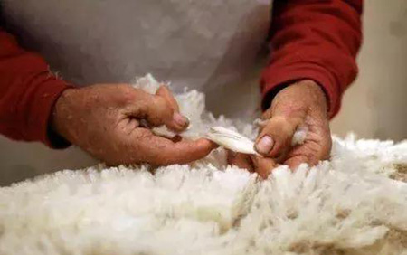 1761996067581295.jpg 1.jpg