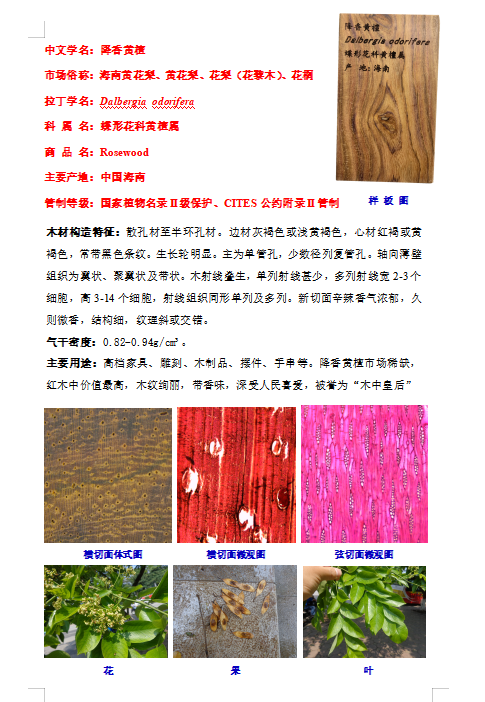 QQ20251225-105151.png