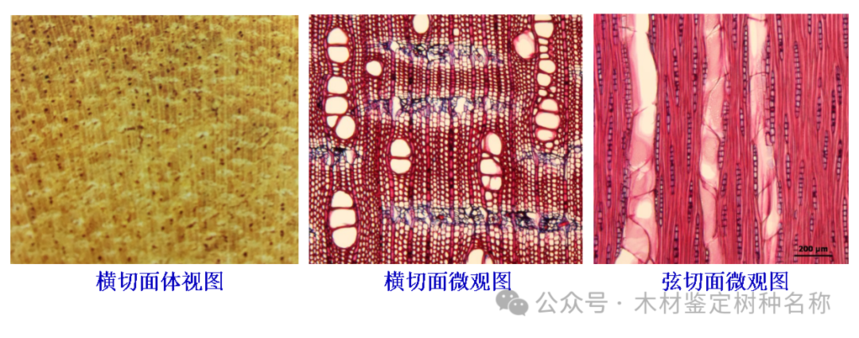 1767771347206992.png image.png