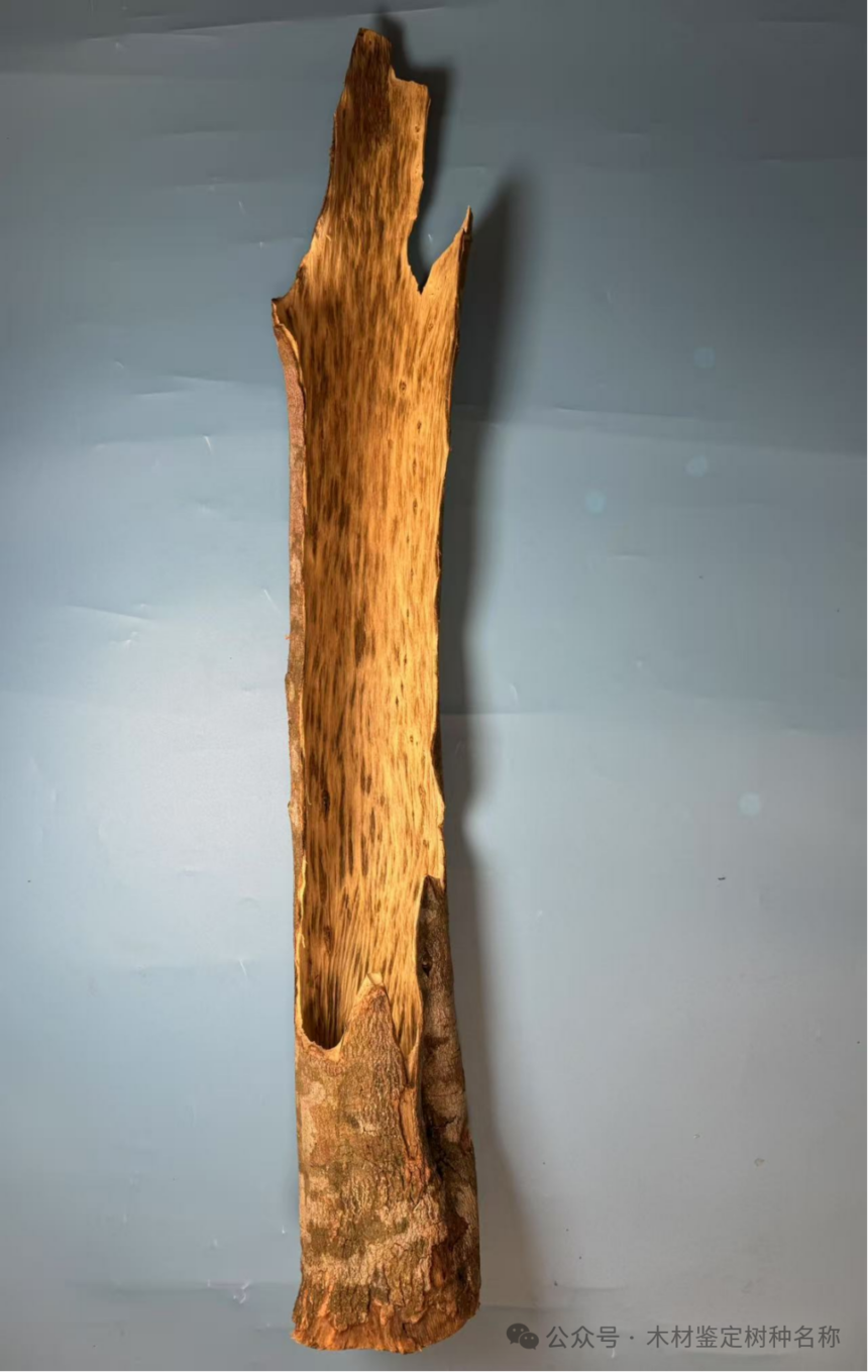 1767771436447570.png 9be4df4d-100d-4027-a115-92ff45cdaa38.png