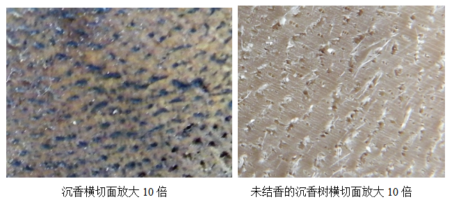1768205045167153.png a876978d-3df7-4e60-be23-06f571c1b836.png