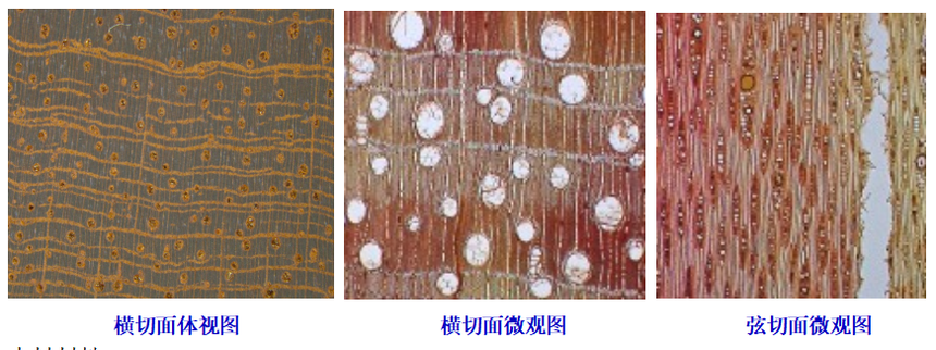1775748012233153.png 90100dd9-02ae-4d58-ac49-87ae5db197b5.png