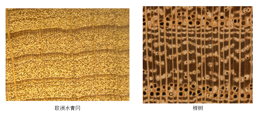 cb25b411-61e4-4263-9a8a-e8384716986f.png