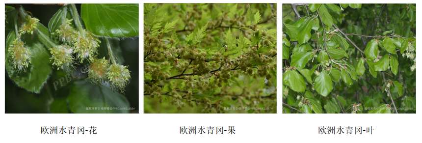 1779939288592543.png image.png