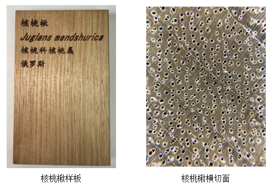 acba3997608689f68ab5758fe9f07881.png