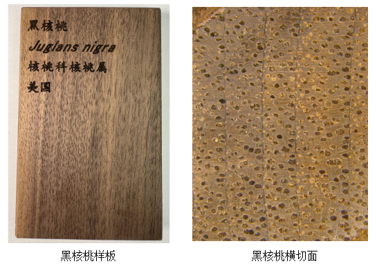 6c05567cf8d79a4644211b392e6e1d6b.png