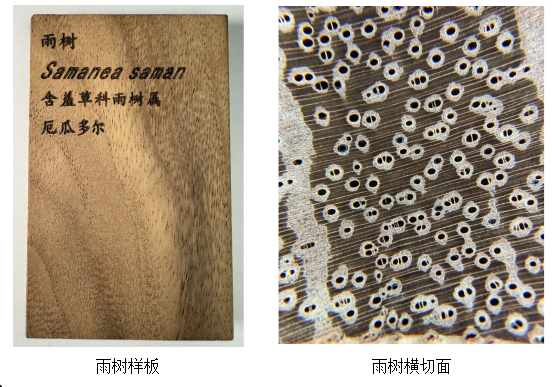 b09511d5170bb08a60a5673de820f826.png