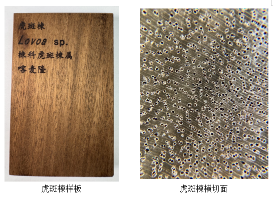 f131c23faaccb8aa3fb87e04e0c9e078.png