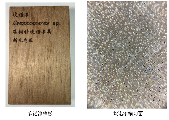 50426733467c818ef48e8798b68981eb.png