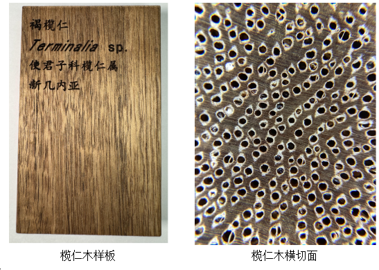 02b3ccdbf0e51a871020048fd4b9bce5.png