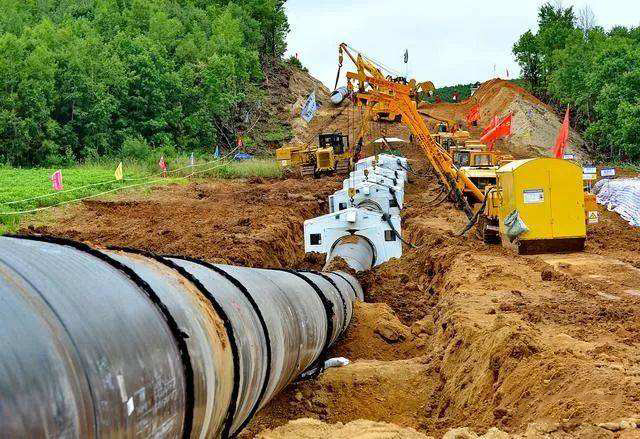 1762583777791101.jpg 4.jpg