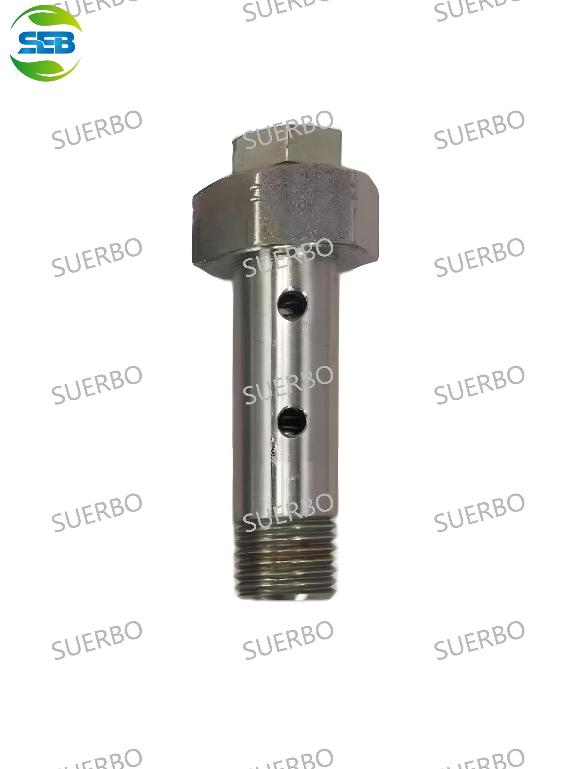 �����ݸ˷� 090310-0490(1).jpg