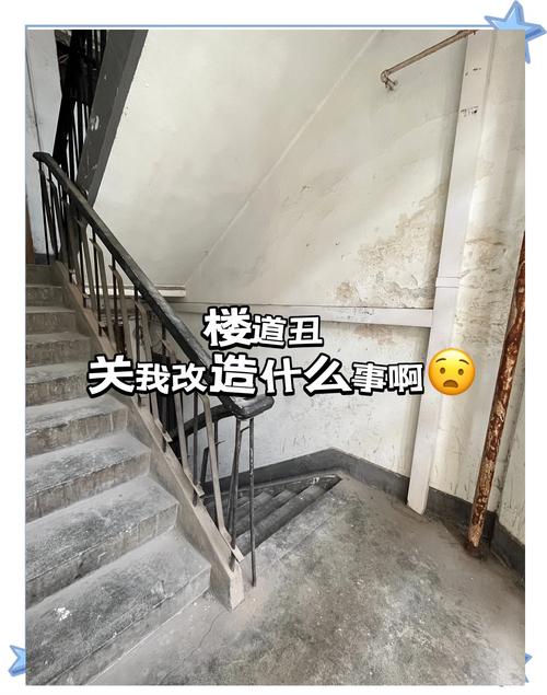 ����������ש�г����˿�����Ӱ�죬�Ͼ�С�������Ϊ��Ҫ������Դ��_�����Ͼ�С�����챣��ǽ_�������Ͼ�С������