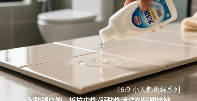 �����ϵ�д�ש���ͻ�ѧ�������Ӧ�������价���г�������������_��ש�ϵ������������_��ש����ˮ����ôȥ��