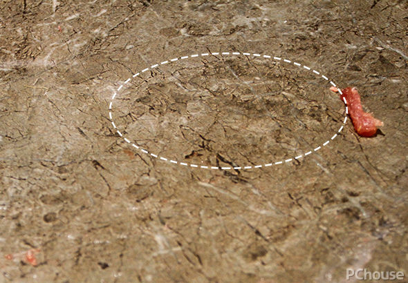 瓷砖耐磨性测试_大角鹿超耐磨大理石瓷砖_超耐磨通体大板瓷砖的切割难度大吗,能根据实际需求进行异形切割吗?