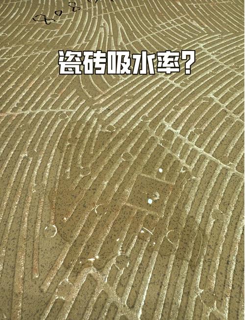 怎样测试瓷砖的吸水率?滴水在背面多久不渗才算达标?_瓷砖背面渗水快_滴水瓷砖是按米计算吗