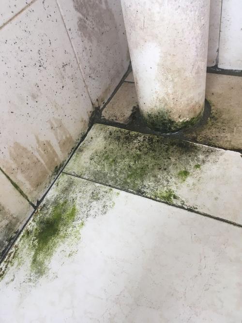 瓷砖表面粗糙的叫什么砖_砂岩系列瓷砖的粗糙表面在户外环境使用多年后是否会滋生苔藓或地衣_表面粗糙的瓷砖怎么清理