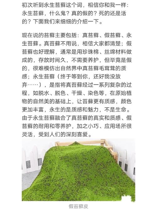 表面粗糙的瓷砖_表面粗糙的瓷砖怎么清理_砂岩系列瓷砖的粗糙表面在户外环境使用多年后是否会滋生苔藓或地衣