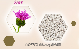 1780546821579218.png Dsoon02.png