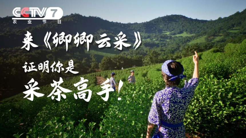 1786946334277005.png 图片3.png