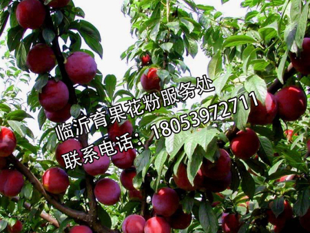 8dfe767dfa48db4631ae25a015bf4328.jpg