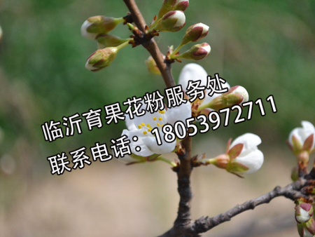 81584da729a0e6aa99af11615dc4d14a.jpg