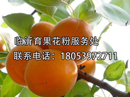 acf9e234943edccbd8f9fdbc4c690323.jpg
