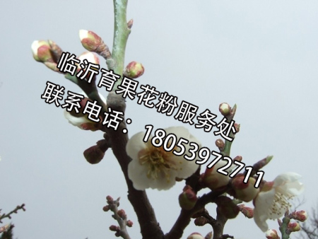 c65ca3bb4a0f01ad9a4ce72090aea186.jpg