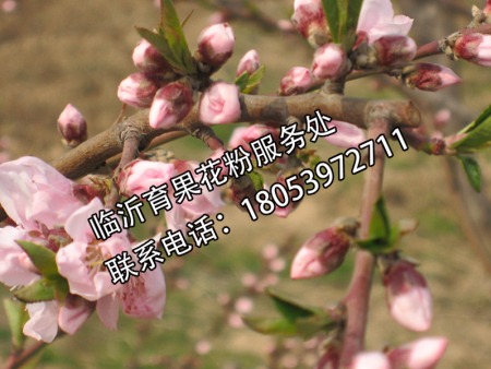 b0913a4ebcbd70a19da1aed2232f5e85.jpg