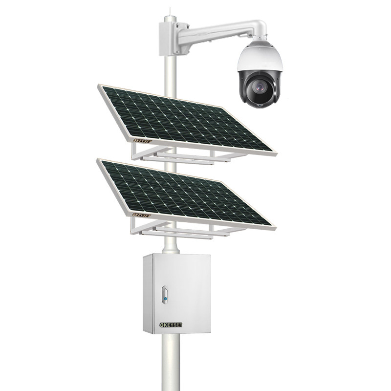 �¹�����
