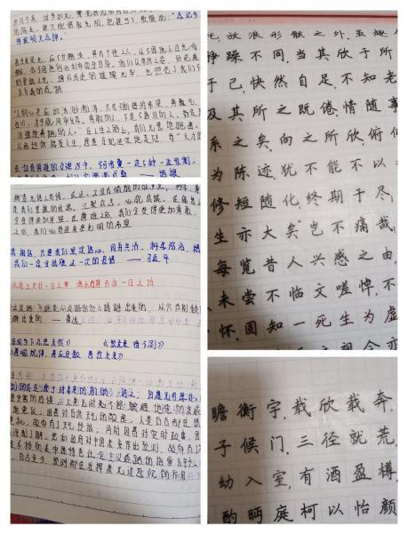 053e64dd-d9de-4d5d-bbee-aee6d93dec1c.png