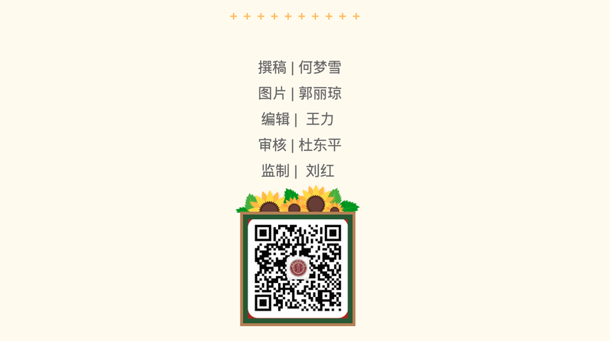 1790127864670815.png image.png