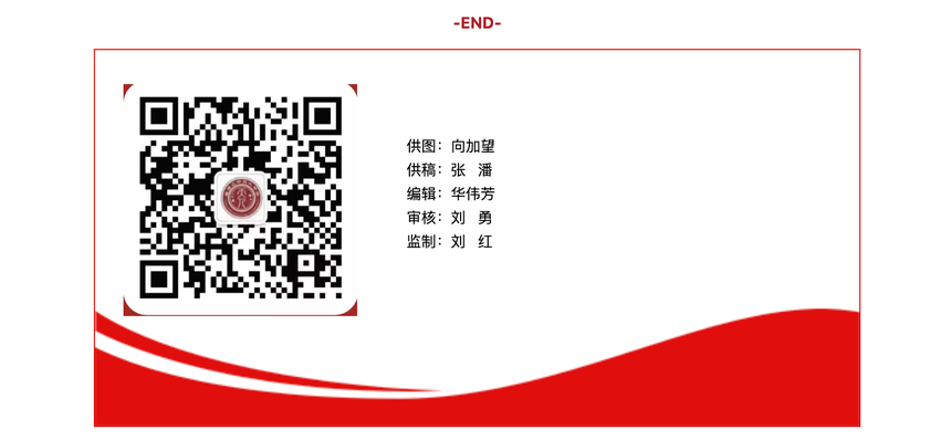 1790253795569936.png image.png