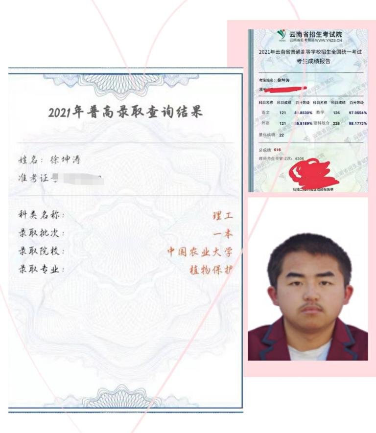 8451de82-3d00-4d66-b879-42f53d67e05a.png