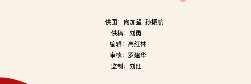 1790498043716526.png image.png