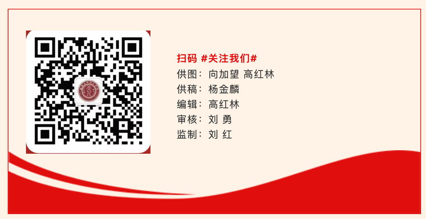 1790556372295806.png image.png