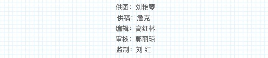 1790559009682085.png image.png
