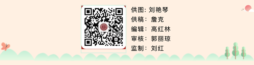 1790606973882263.png image.png