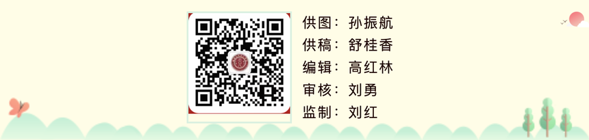 1790609320766353.png image.png
