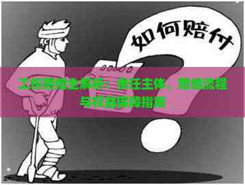 ⳥ȫ塢⳥Ȩ汣ָ