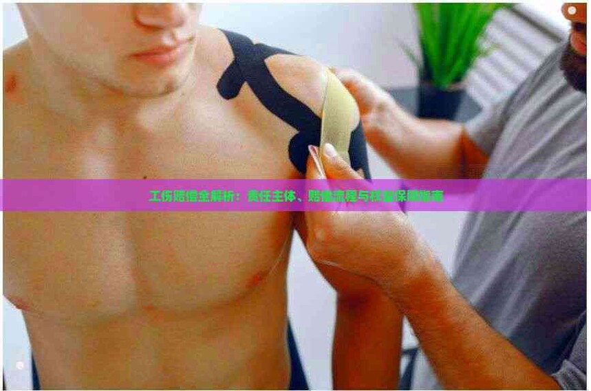 ⳥ȫ塢⳥Ȩ汣ָ