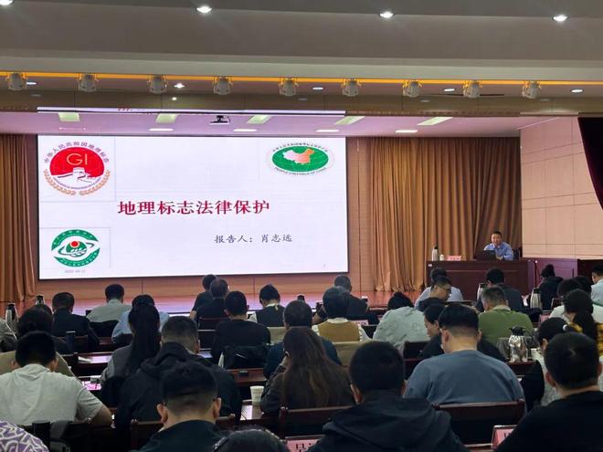 知识产权执法纠纷分析_烟台市知识产权执法能力提升培训班_烟台市知识产权行政执法培训